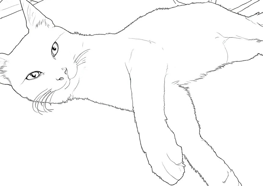 Saba for sale - Image 95